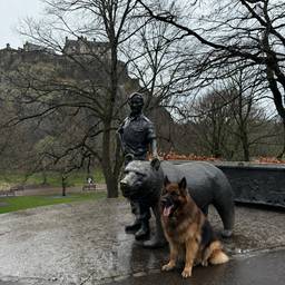 German Shepherd Statue Swap