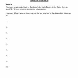 Crisp Scanned Worksheet