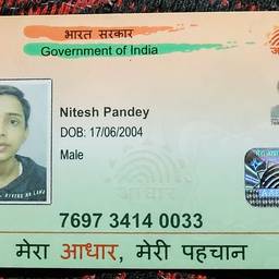 After - Aadhaar Card Year Edit
