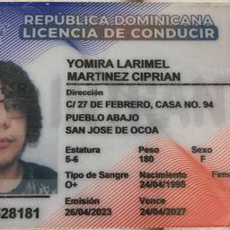 Before - Driver's License Name Edit