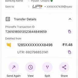 UPI Payment Screenshot Edit