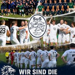 Sports Club Photo Collage