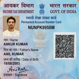 PAN Card Number Edit