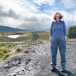 Remove Car from Photo
