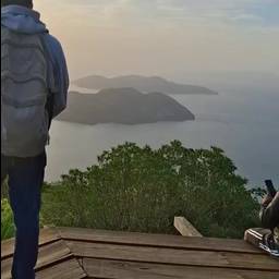 Panoramic Video Scene