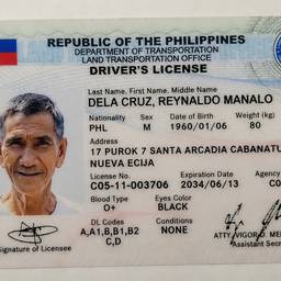 Philippine Driver's License Edit