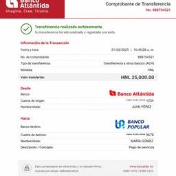 Bank Transfer Receipt