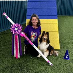 Depois - Foto do Agility Award endireitada