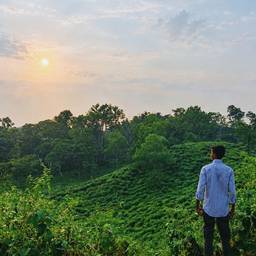 Person Repositioned in Landscape