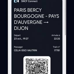 Train Ticket Date Change