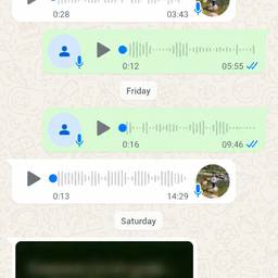 Chat Screenshot Date Edit
