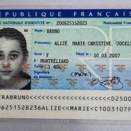 French ID Card Date Edit