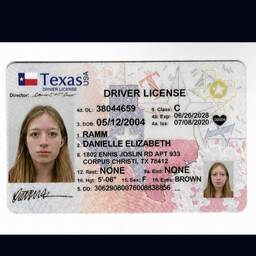 Texas Driver License Edit