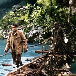 Colorize Vintage Photo