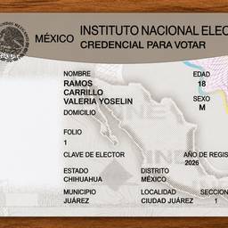 Después - Título: Credencial de Elector Mexicana