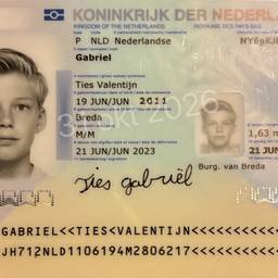 Antes - Editar año de nacimiento del pasaporte