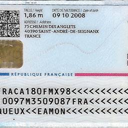 French ID Card Date Edit