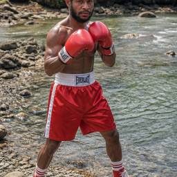 Boxer Outdoor Portrait