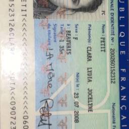 Before - French ID Card DOB Edit