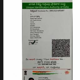 Edit Date on ID Card