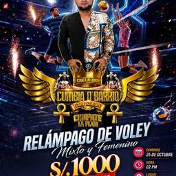 Volleyball Event Poster