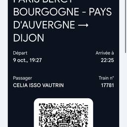 Before - Train Ticket Date Edit