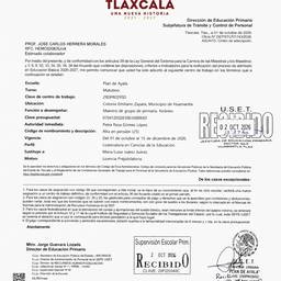 Document Stain Removal