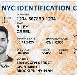 NYC ID Card Edit