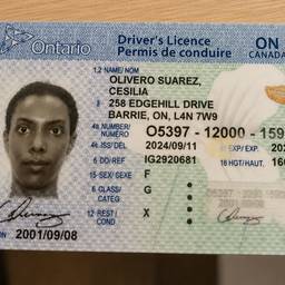 Ontario Licence Expiry Edit
