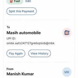 UPI Payment Edit