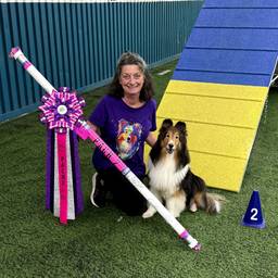 Antes - Foto do Agility Award endireitada