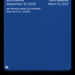 After - Insurance Card Date Edit