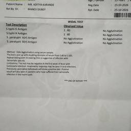 Lab Report Date Edit