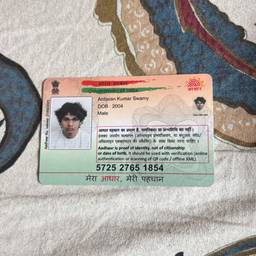 Voter ID Year Edit
