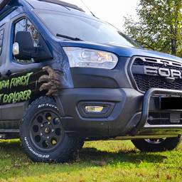 Van Logo Placement