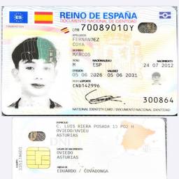 Before - Spanish DNI Date Edit