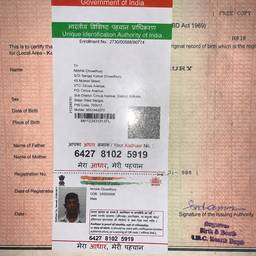 Aadhaar DOB Edit