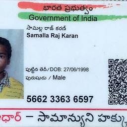Aadhaar DOB Year Edit