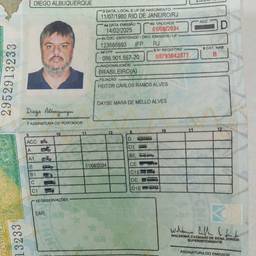 Brazilian License Name Change