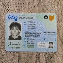 Ohio Driver's License Edit