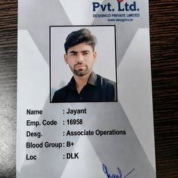ID Card Photo Swap