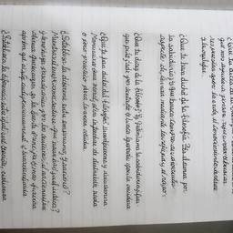 Handwritten Notes Font Edit