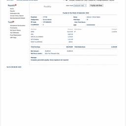 After - Payslip Salary Edit