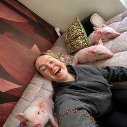 Add Piglets to Photo