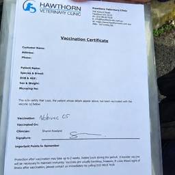 Vaccination Certificate Redaction