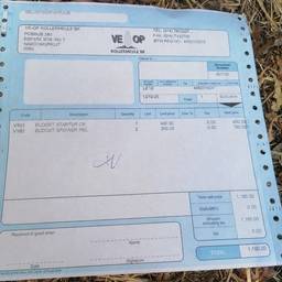 Invoice Line Item Edit