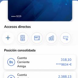 Banking App Balance Edit