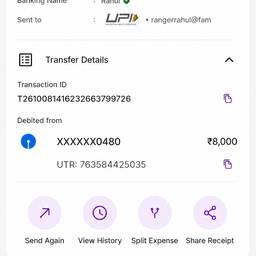 UPI Payment Amount Edit