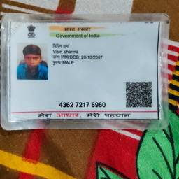 Voter ID DOB Edit