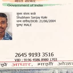 Aadhaar Year Fix Edit